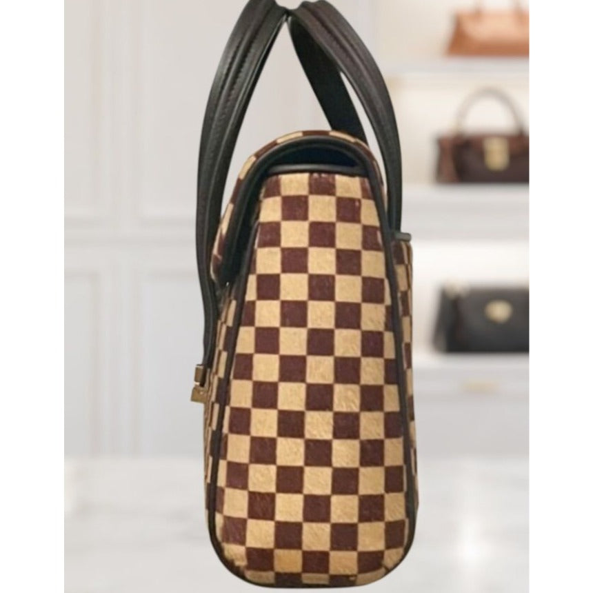 Louis Vuitton Vintage Damier Sauvage Lionne Pony Hair Handbag 623E191P