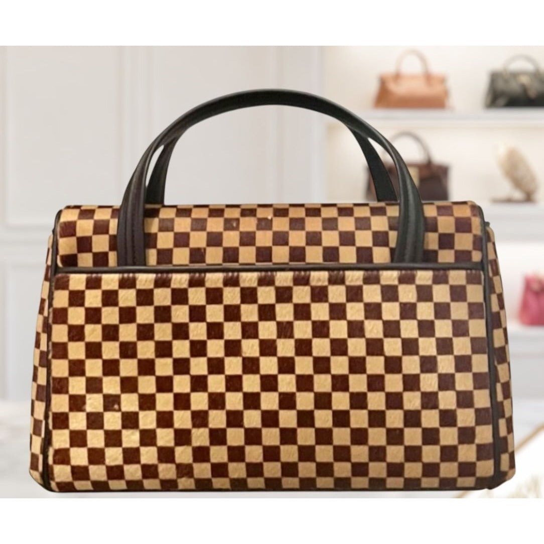 Louis Vuitton Vintage Damier Sauvage Lionne Pony Hair Handbag 623E191P