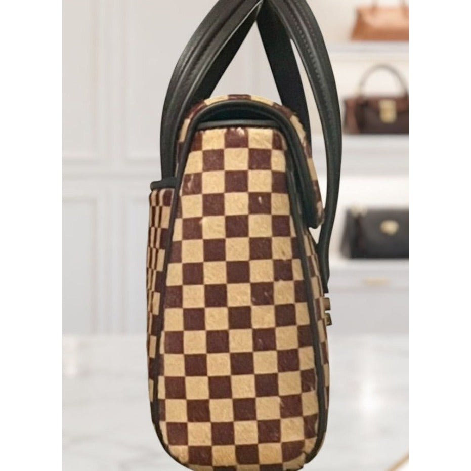 Louis Vuitton Vintage Damier Sauvage Lionne Pony Hair Handbag 623E191P